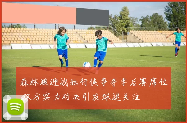 森林狼迎战独行侠争夺季后赛席位 双方实力对决引发球迷关注