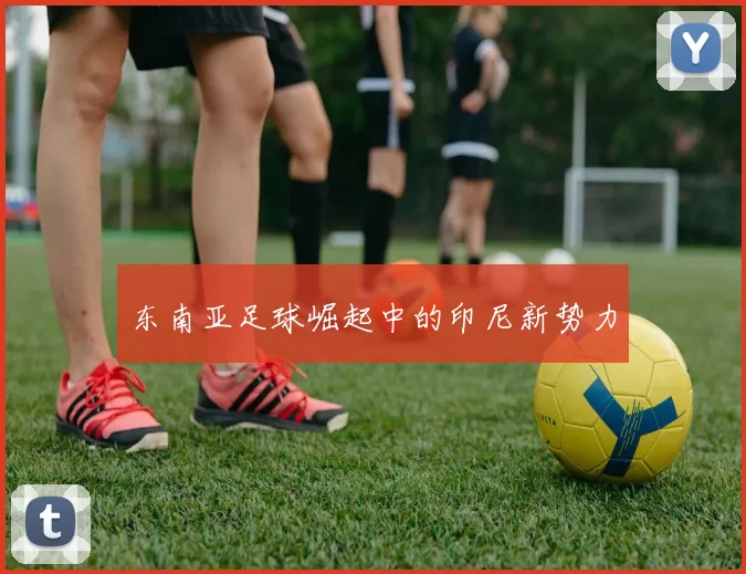 东南亚足球崛起中的印尼新势力