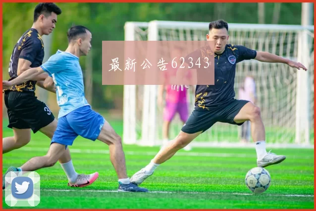 最新公告62343