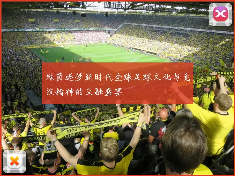 绿茵逐梦新时代全球足球文化与竞技精神的交融盛宴