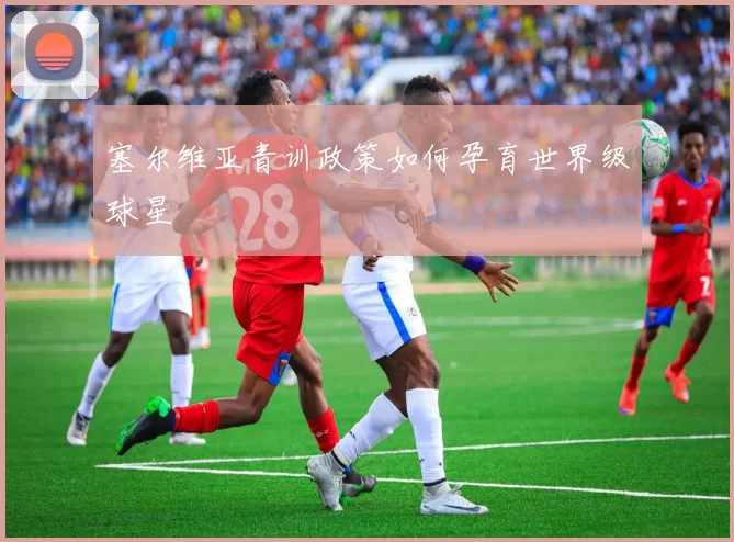 塞尔维亚青训政策如何孕育世界级球星