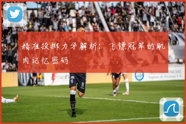 精准投掷力学解析：飞镖冠军的肌肉记忆密码