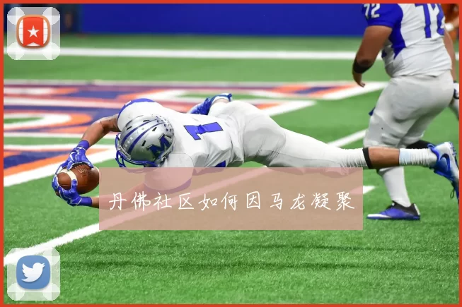 丹佛社区如何因马龙凝聚