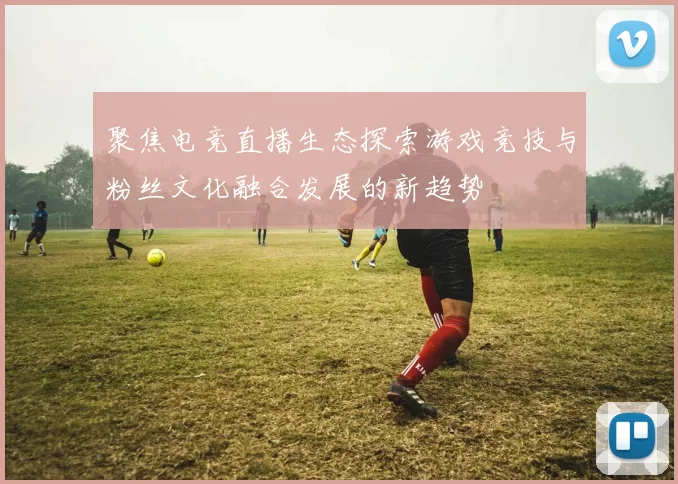 聚焦电竞直播生态探索游戏竞技与粉丝文化融合发展的新趋势