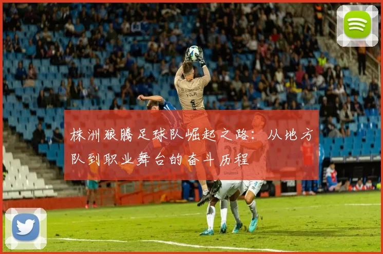 株洲狼腾足球队崛起之路：从地方队到职业舞台的奋斗历程