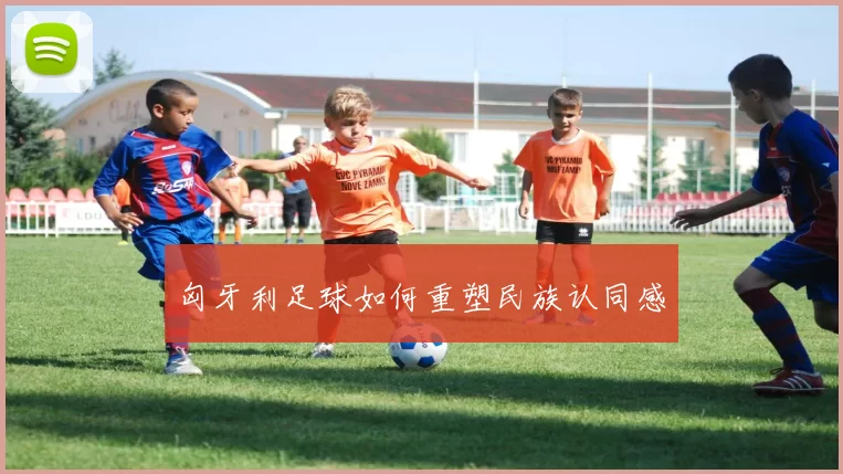 匈牙利足球如何重塑民族认同感