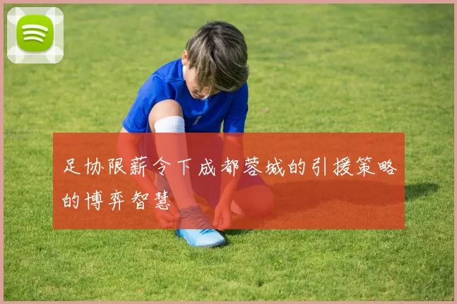 足协限薪令下成都蓉城的引援策略的博弈智慧